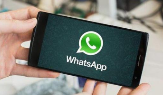 whatsapp下载不了-whatsapp不能下载文件