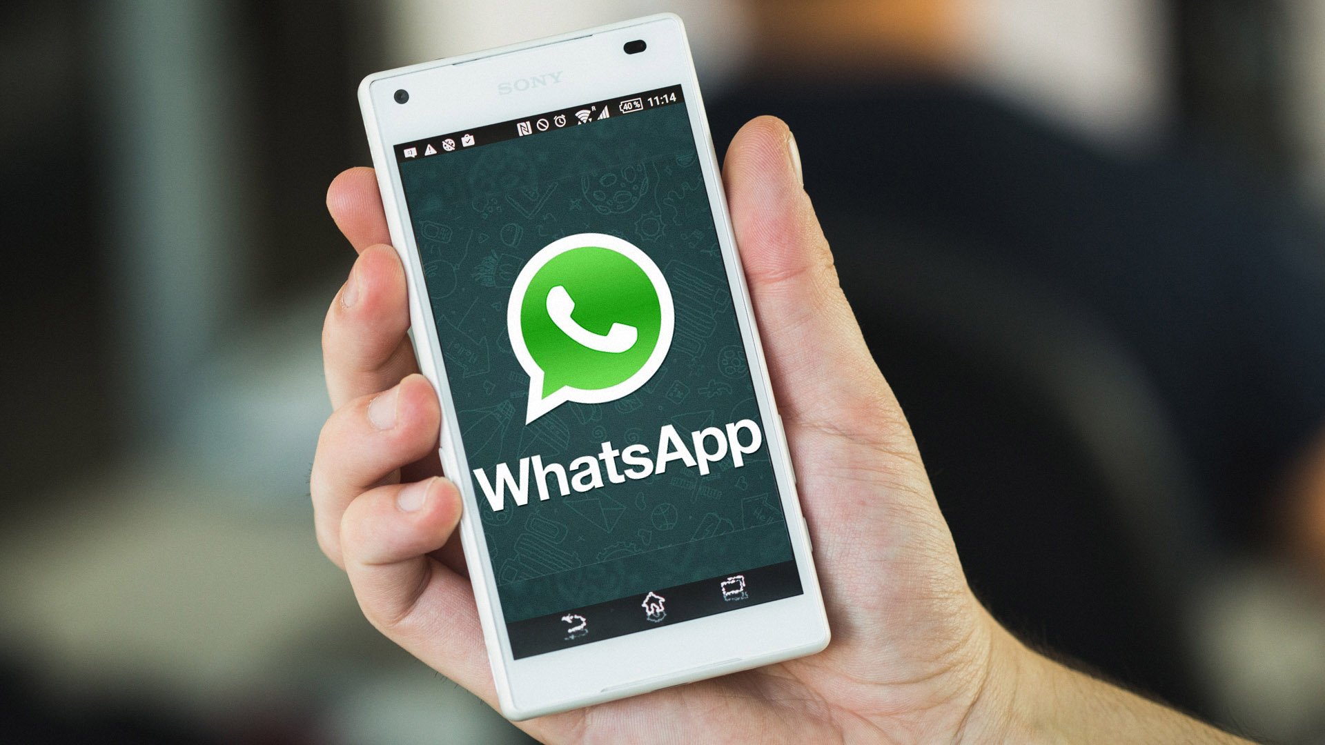 免费下载whatsapp最新版本-whatsapp_whatsapp全版本下载安装