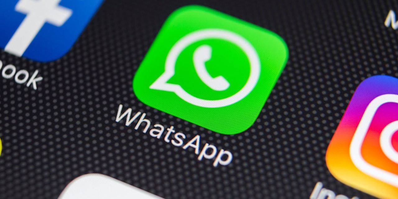 WhatsApp官方版下载最新版2023-whatsapp官方版下载最新版2022v5