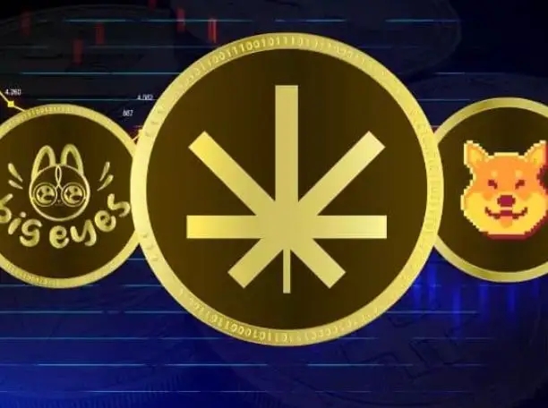 中本聪交易所app下载中本聪的简单介绍