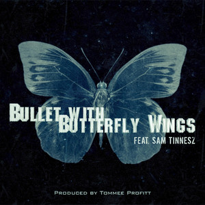 butterflymp3原唱下载,butterfly mp3原唱下载