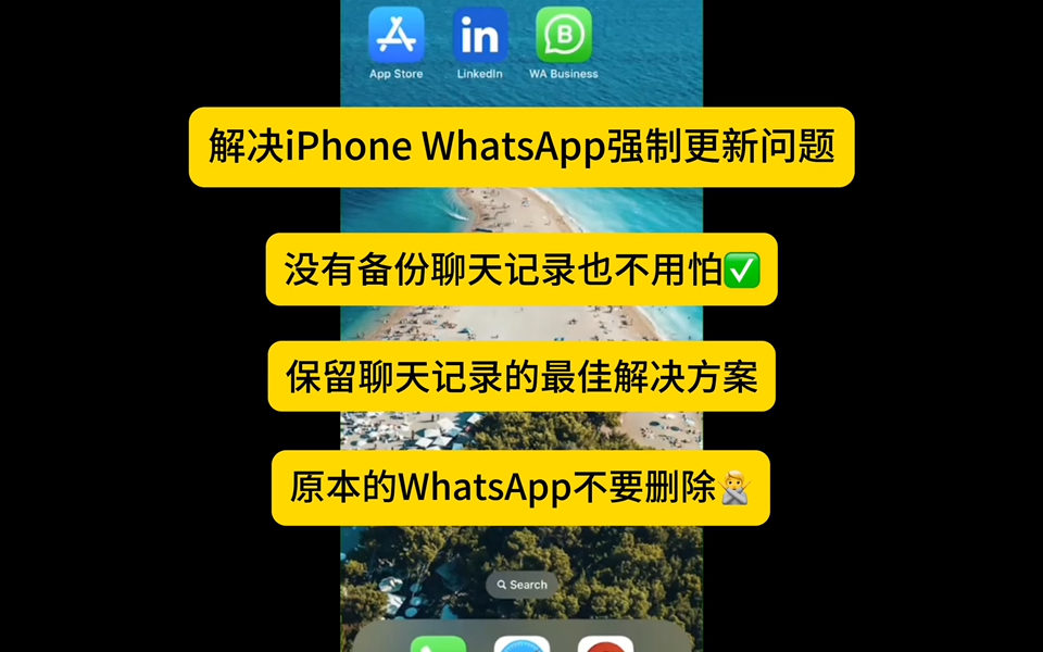 whatsapp下载了怎么进不去,为什么whatsapp下载了打不开