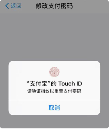 tokenim钱包密码忘了怎么办,lmtoken钱包密码忘记了怎么找回