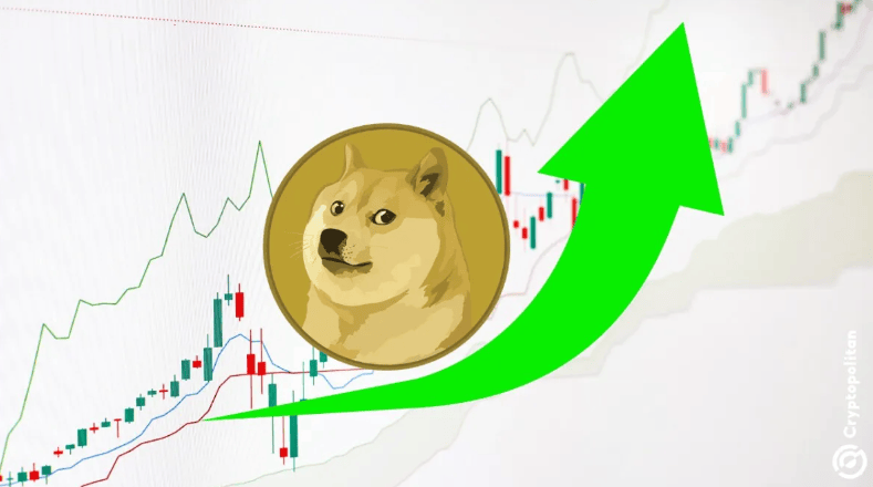 狗狗币的今日价格,狗狗币今日行情价格线图
