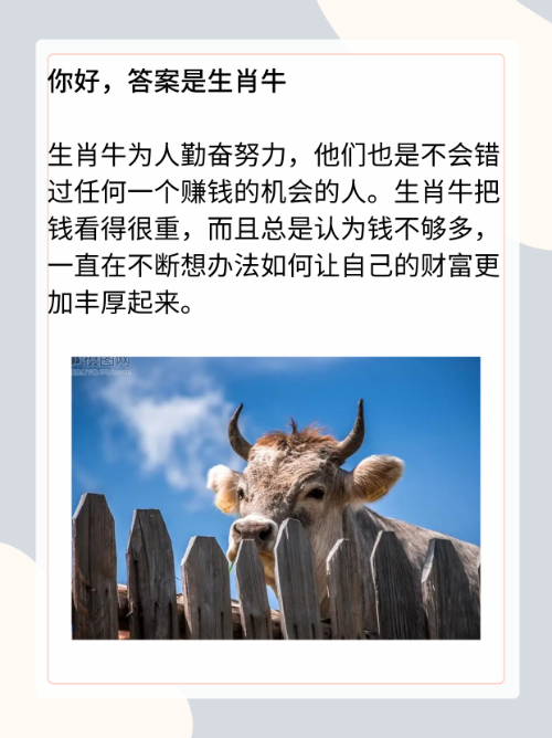 欲钱买神奇的动物,欲钱买神经兮兮的动物